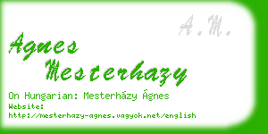agnes mesterhazy business card