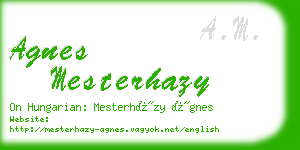 agnes mesterhazy business card
